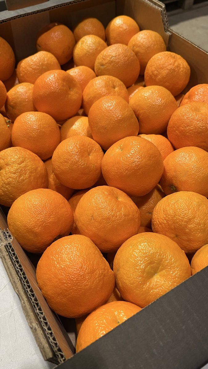 Gospa Citrus tweet media