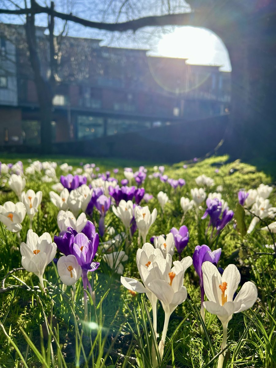 Princesshay tweet media