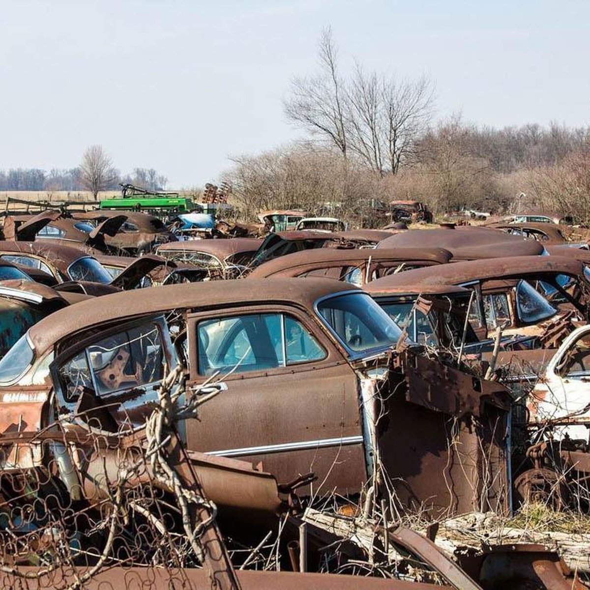JunkMd's tweet photo. For stress-free junk car removal, we've got you covered. Schedule your pickup today and get cash in return.
#JunkCarRemoval
https://t.co/zG4Gco8OG8 https://t.co/76rSSpUNoc