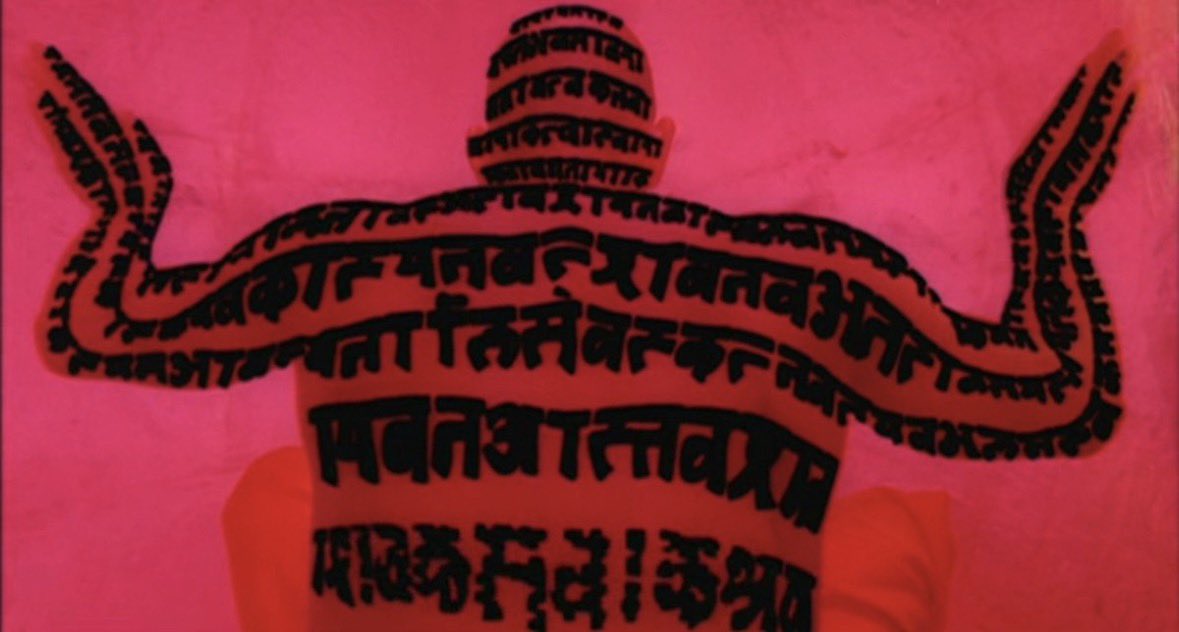 THEE Black Elvira🔪🦇 tweet media