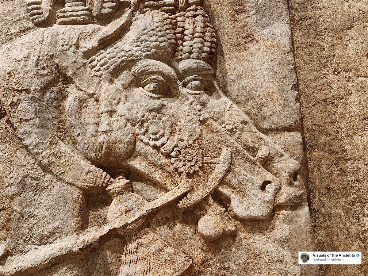 Visuals of the Ancients tweet media