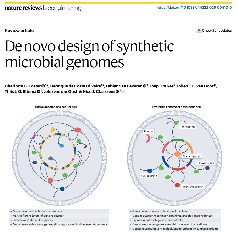 Olivier Borkowski tweet media