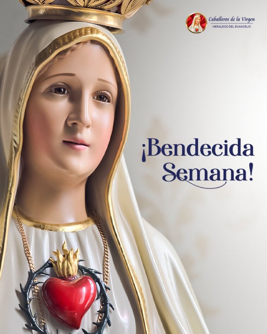 ingenieria sn (@ingenieriasn) on Twitter photo 