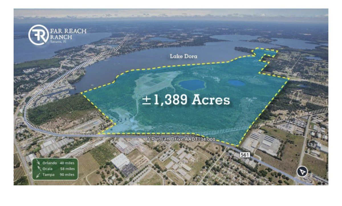 Anthony Sabatini tweet media