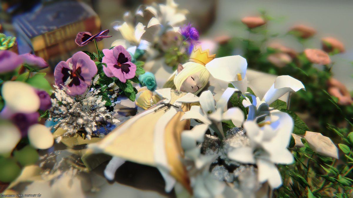 おやすみなさい！
#suisei_made