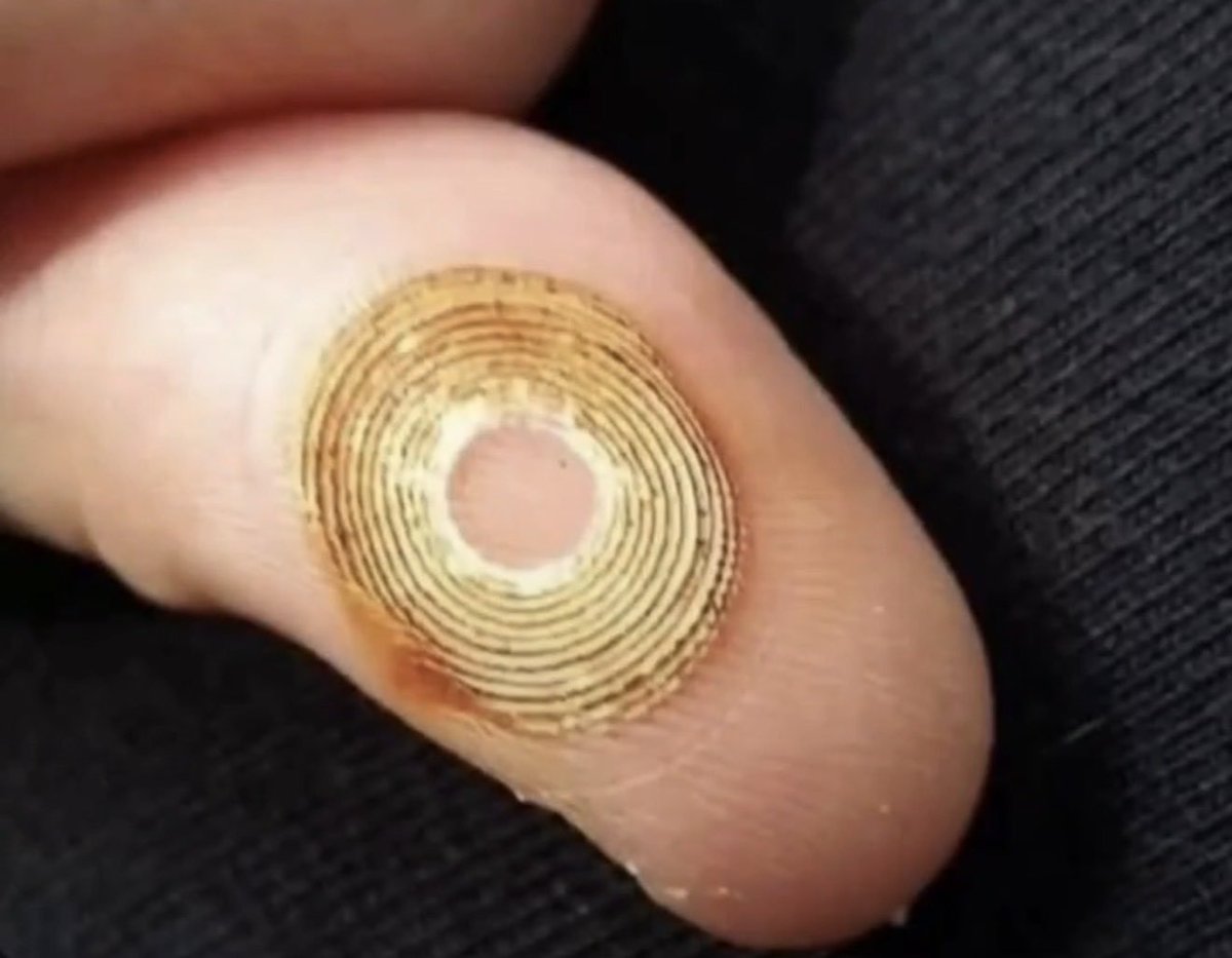 Connie 🇺🇸 tweet media