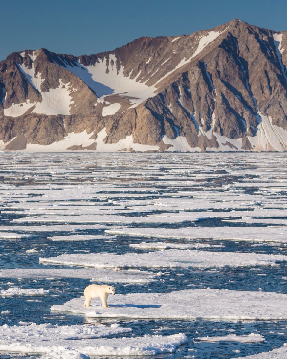 Quark Expeditions tweet media