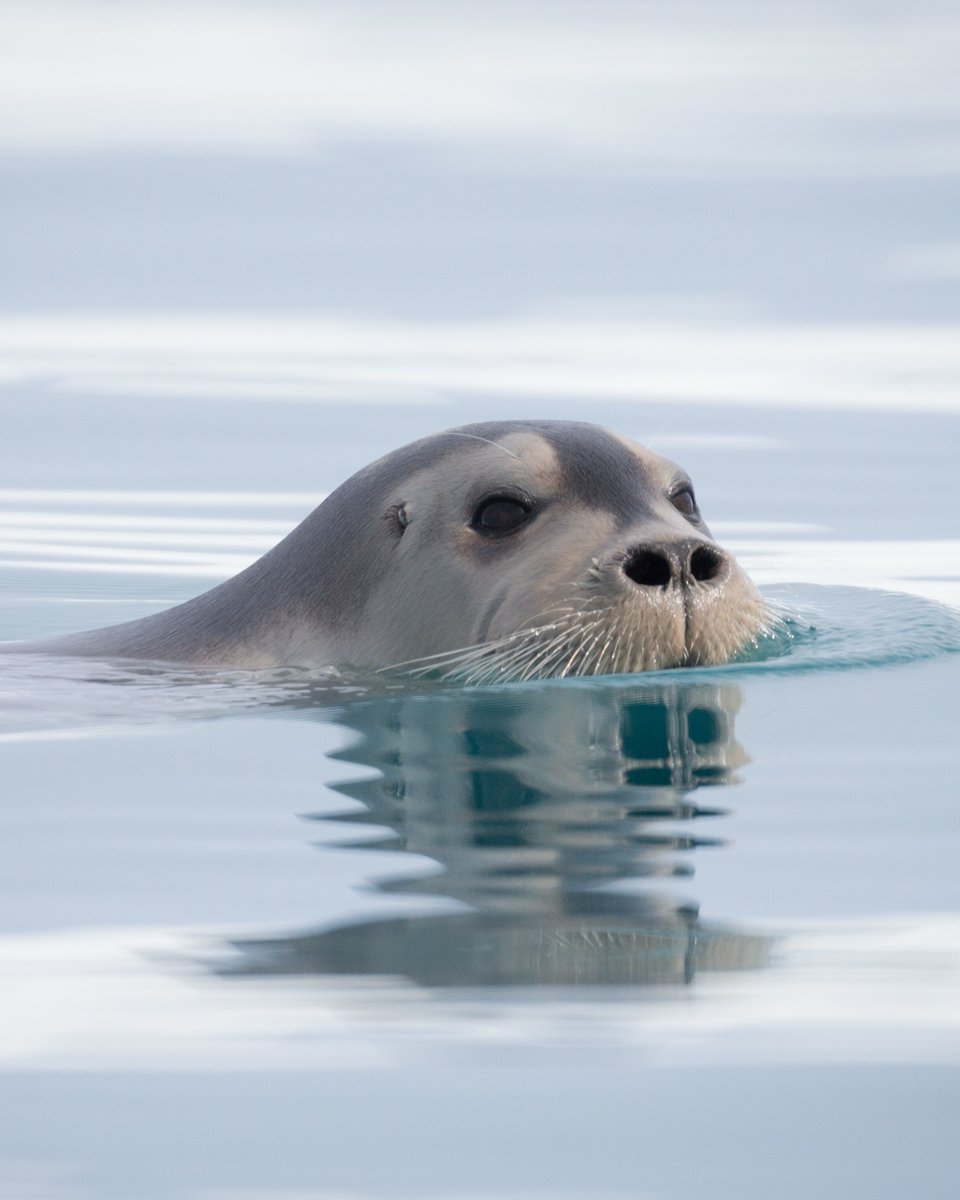 Quark Expeditions tweet media