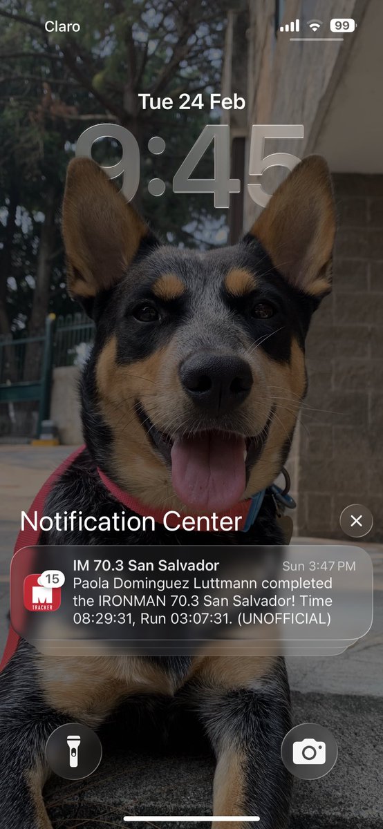 La Vandrea tweet media