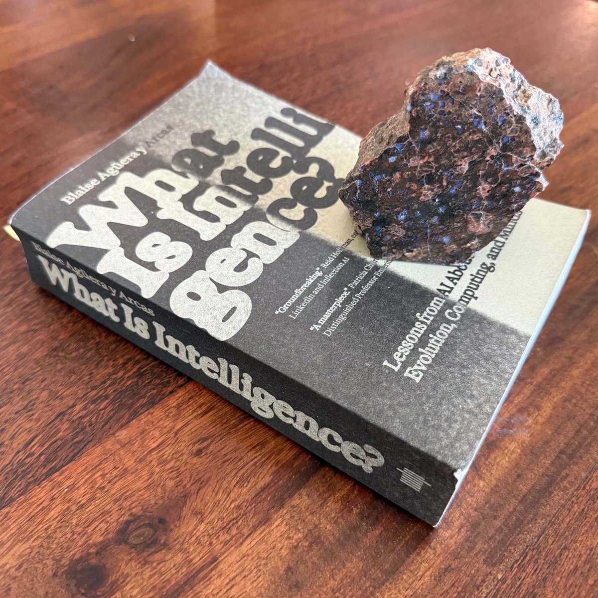 The capacity to reason this stone formed a billion years ago.