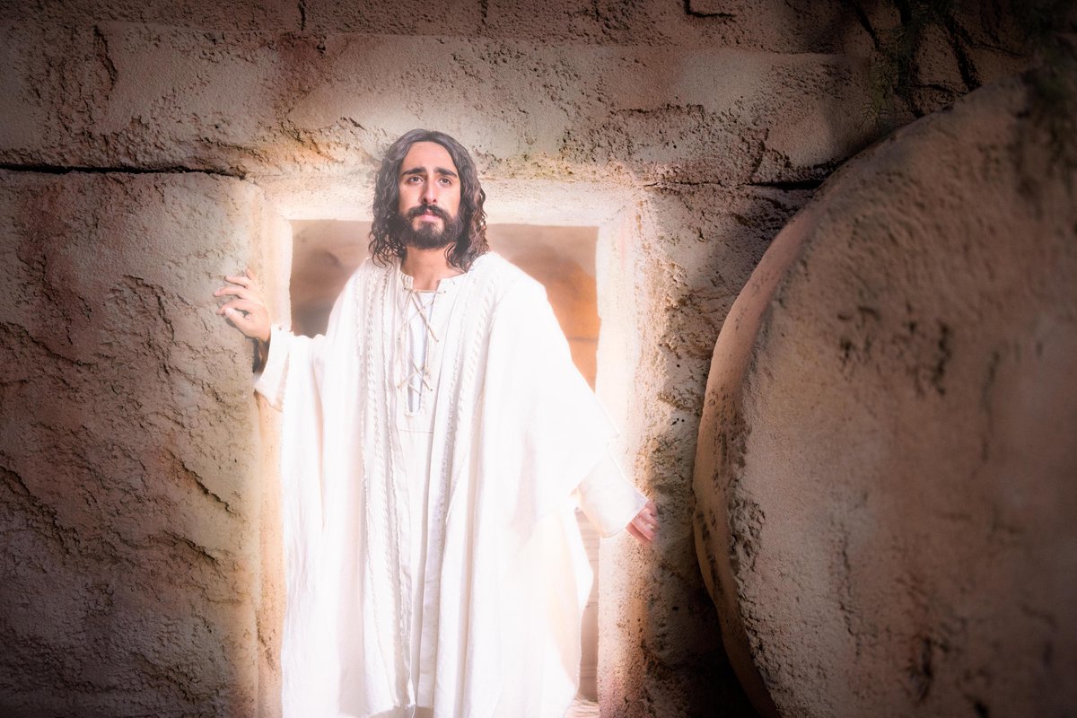 ComeUntoChrist's tweet photo. John 20:31: “But these are written, that ye might believe that Jesus is the Christ, the Son of God; and that believing ye might have life through his name.”
#GreaterLove https://t.co/Q2AUxLAV3O