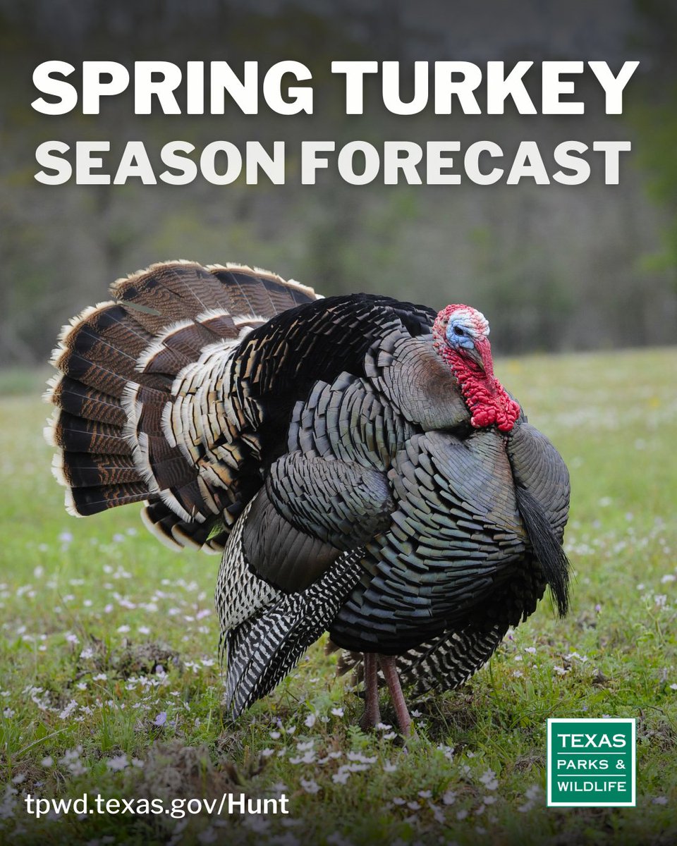 Texas Parks & Wildlife tweet media