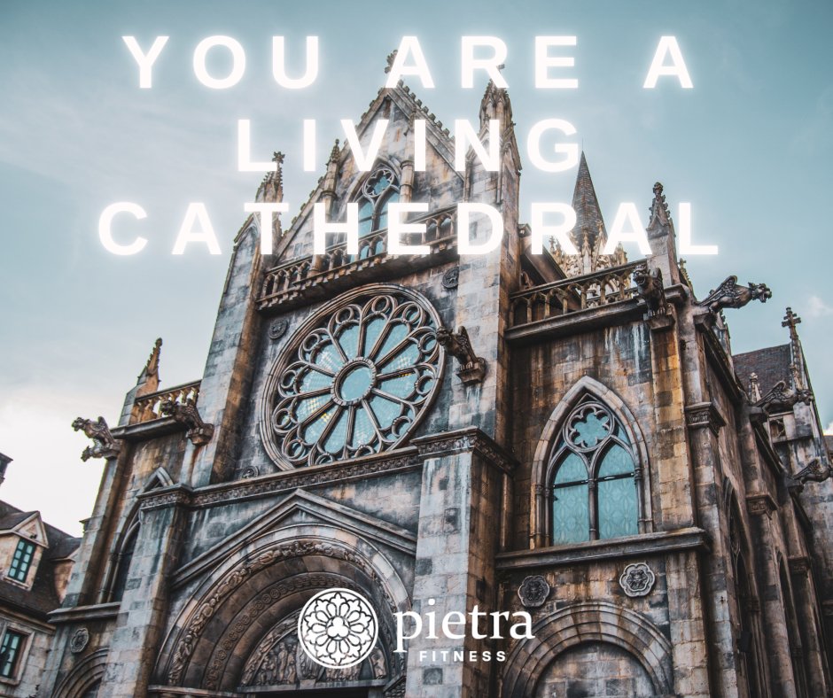 PIETRAFITNESS's tweet photo. You are a living cathedral.

Cathedral of You™

Learn more: https://t.co/Iub2NcxTKz

#pietrafitness
#bodymindandsoul #Catholic #cathedralofyou #christianmeditation
#stretchingandstrengthening https://t.co/biMnJxu72F