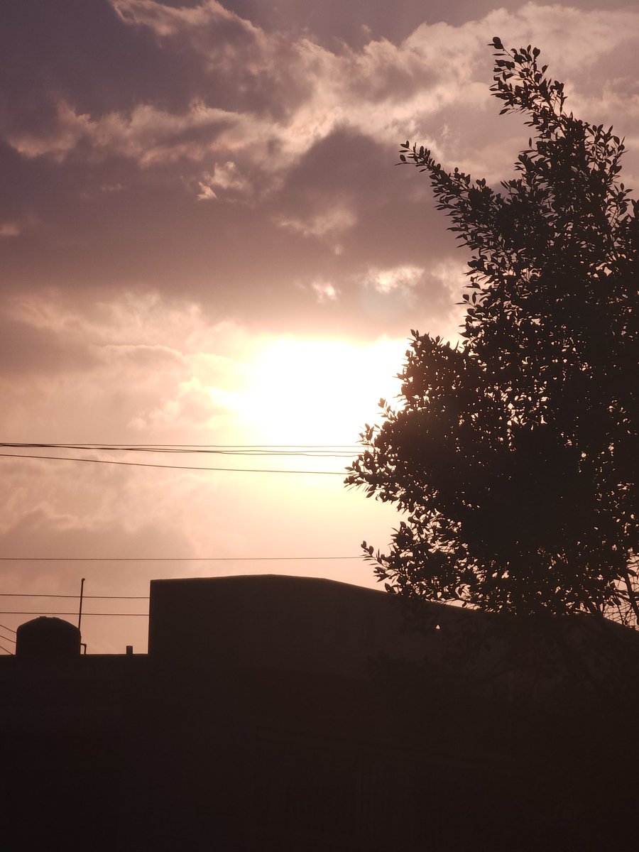 منظر الشمس من امام الورشه