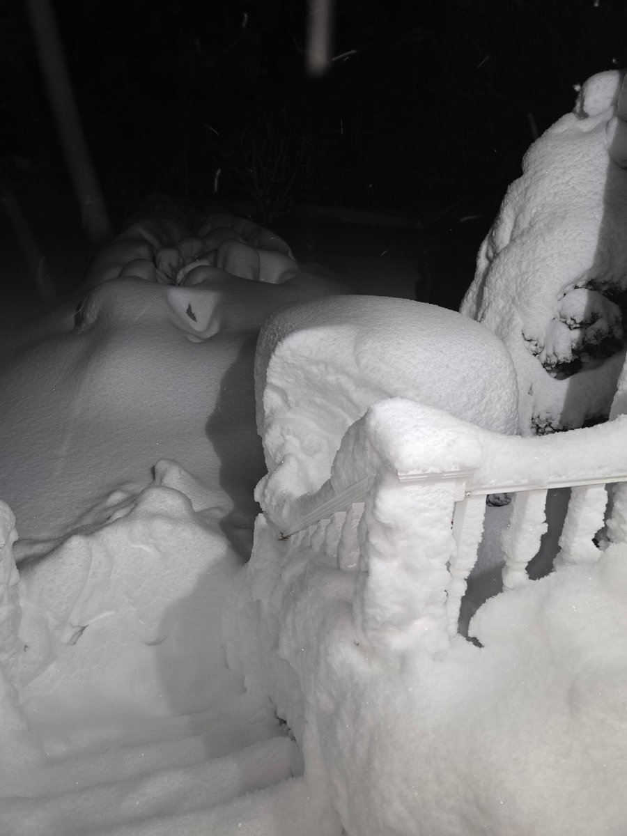 Nic Merianos tweet media