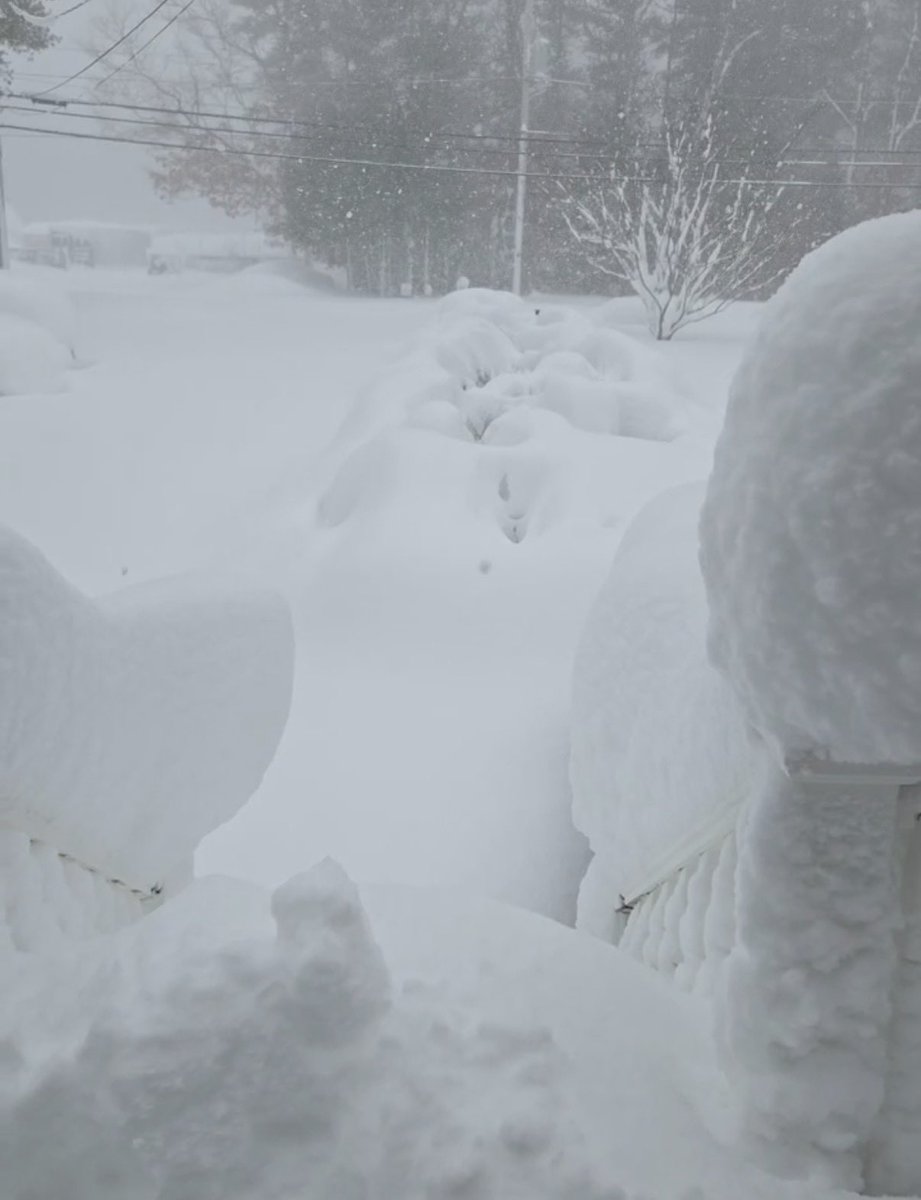 Nic Merianos tweet media