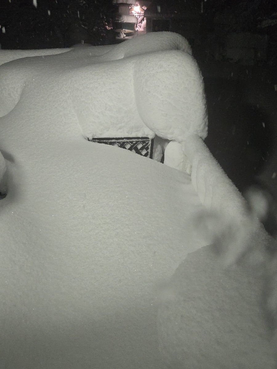 Nic Merianos tweet media