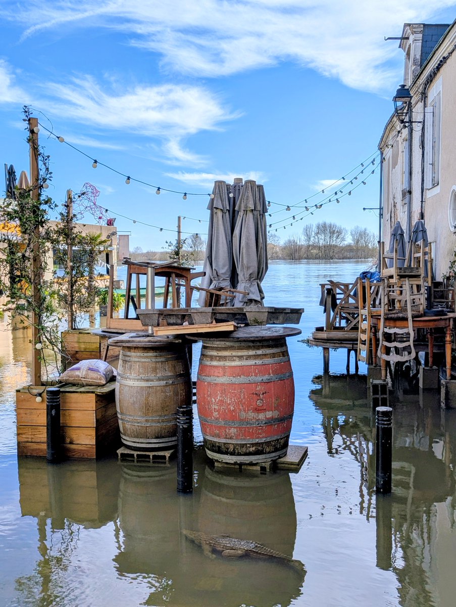 Ville de Bouchemaine tweet media