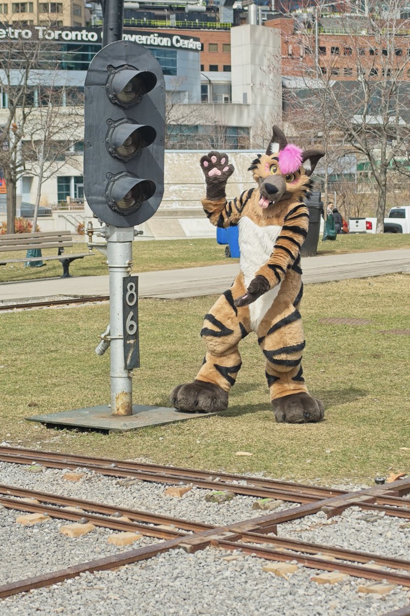 Jax Hyena / Glacier Husky 🔜 AC tweet media