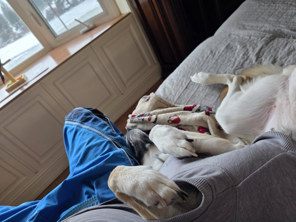 Snoockums_Noobnation tweet media