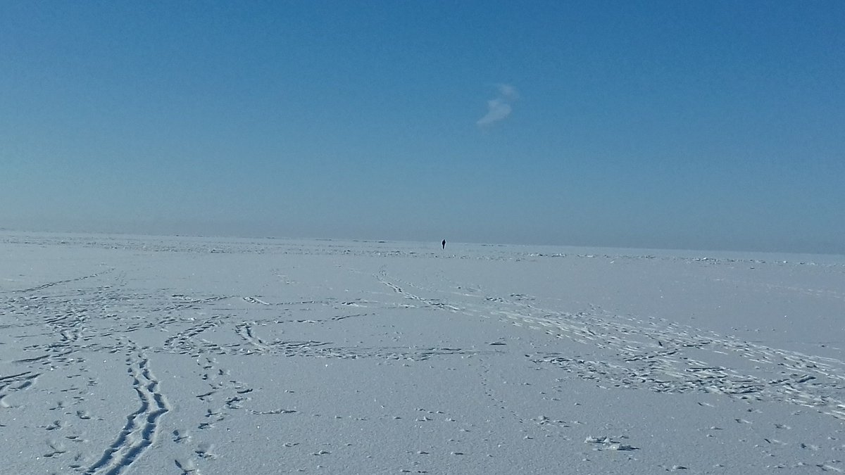 Выгуливался сегодня на побережье, море во льду до горизонта. Народ гулят по побережью тудым сюдым. Но нашелся один бунтарь который оторвался от коллектива и решил пойти поперек! Куда то  за горизонт.😯