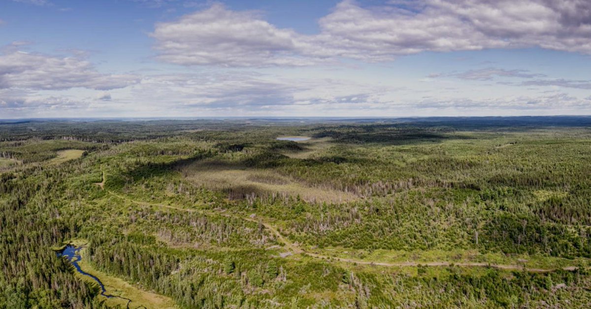 INN_Resource's tweet photo. Canada’s Next Gold Mine? 
4+ Million Ounces of Gold in Ontario