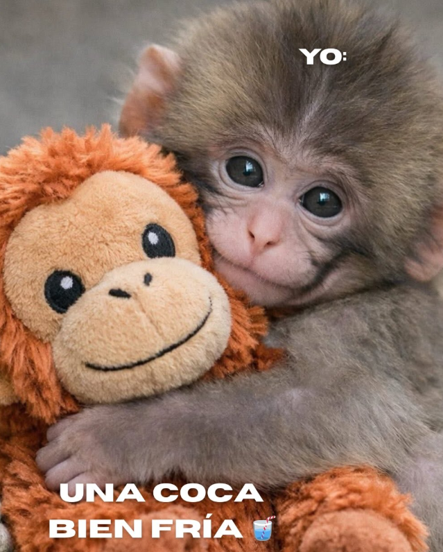 Omar ShaftRiff (@shaftriff) on Twitter photo 