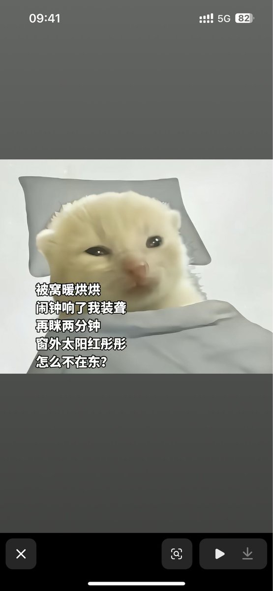 雪花酥 tweet media