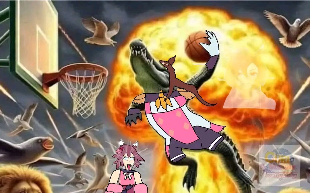 napstap (@napstap2) on Twitter photo 