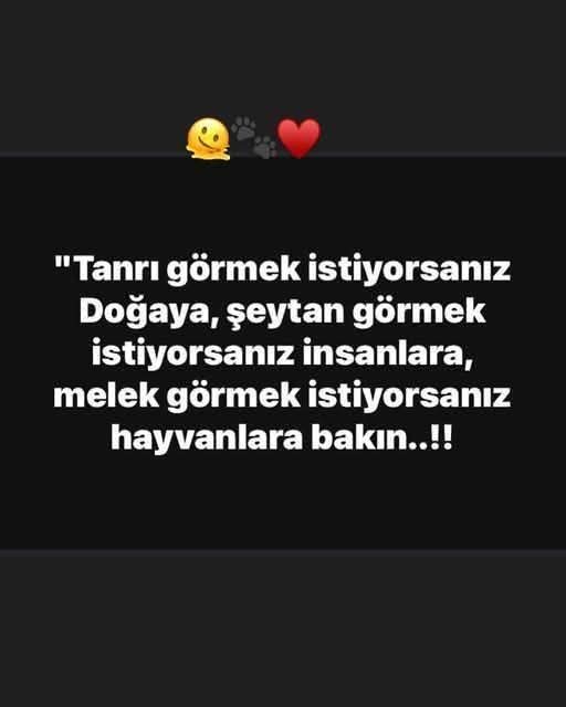 İyi akşamlar TÜRKİYEM
