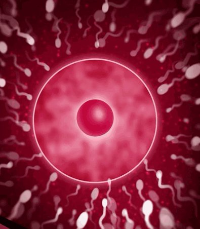 h3nta1 b1tch tweet media