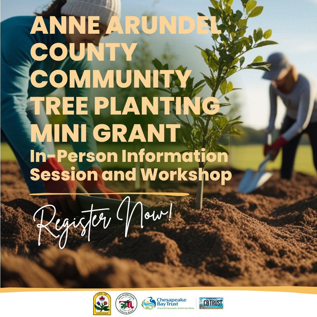 baytrust's tweet photo. The Chesapeake Bay Trust is hosting an information session and application workshop for Anne Arundel County and City of Annapolis nonprofits and residents. Learn about the Anne Arundel County Community Tree Planting Mini Grant and the Electric Leaf Blower Rebate Program. https://t.co/hAdirthaKD