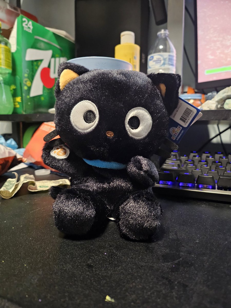 Interest check for an up coming YCH inspired by this picture I took of my Choco Cat Plushie I was thinking about pricing them at 35 to about 40 USD!

I'll be putting the cOmm slot on my  Ko-Fi shortly just seeing if anyone want to preclaim a slot for it hehehe ✨️