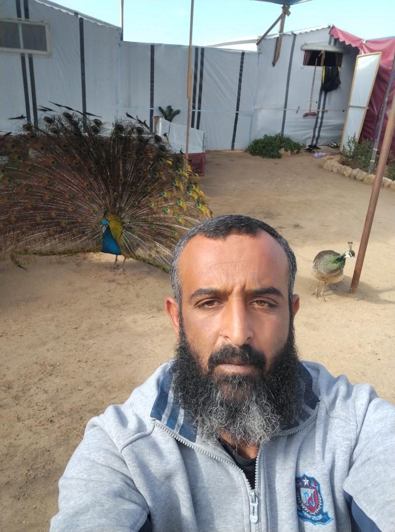 Murad40 allawh tweet media