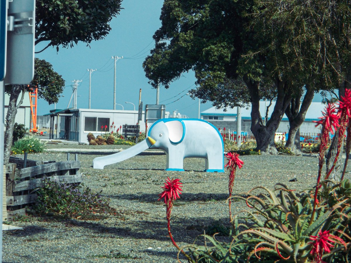 デジカメ楽し〜⟡.·!