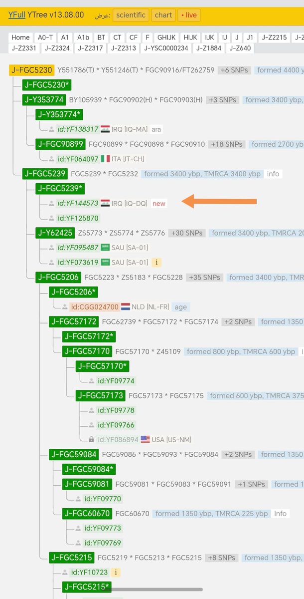 سليل الأزد | ماجد الزهراني 🇸🇦 tweet media