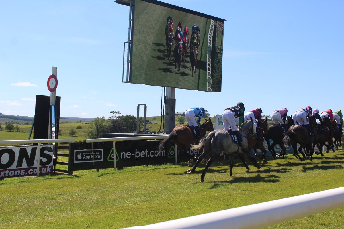 Hexham Racecourse tweet media