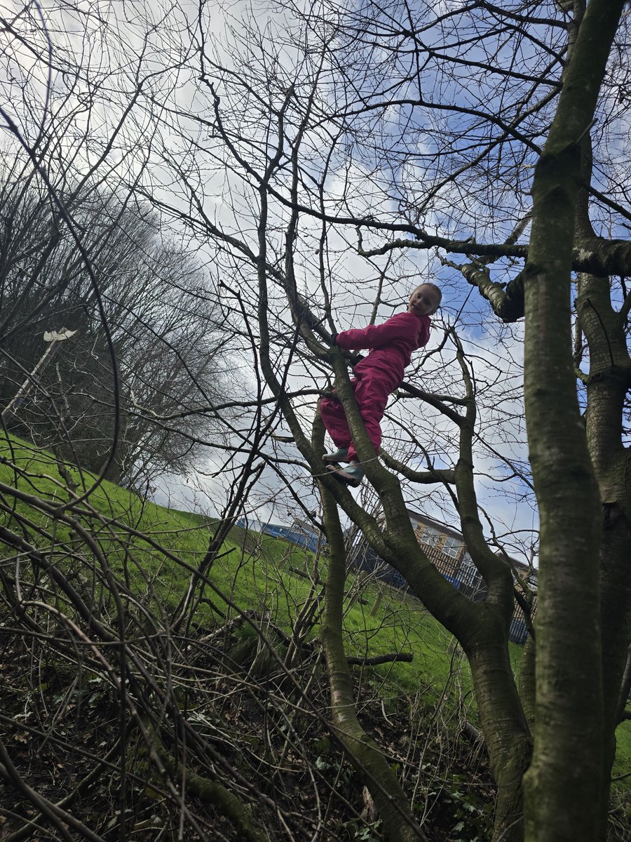 stjosephskly's tweet photo. Woodlands had alot of fun during our first outdoor learning session with @getoutmorecic #BestDaysOfTheirLives #SJKOutdoorLearning #SJKWoodlands https://t.co/9xdFKYAqny