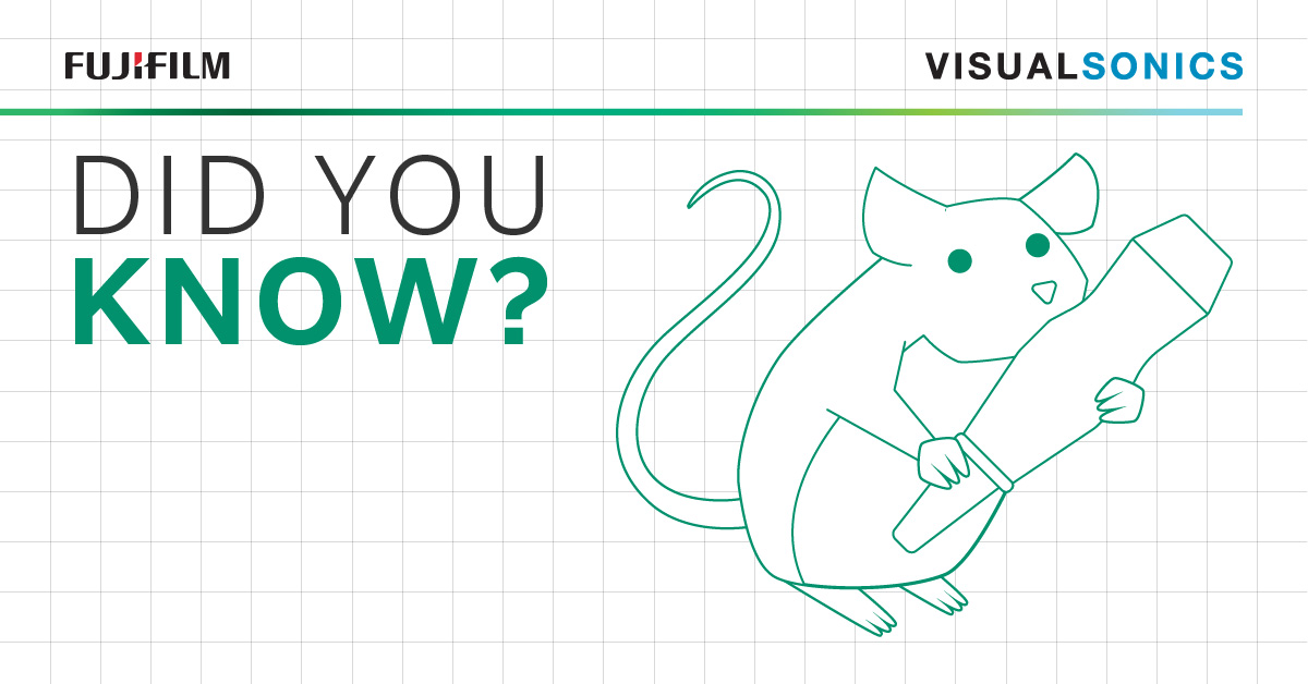 FUJIFILM VisualSonics tweet media
