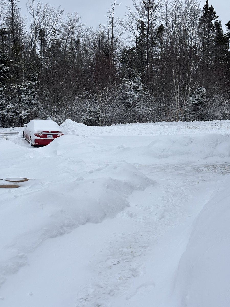 Lucas_Bourque_'s tweet photo. Sluice Point, NS snow depth almost to the top of the green bin. #ShareYourWeather https://t.co/VLvLMDSBSK