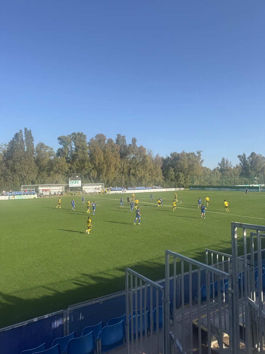 Robin Tehrani tweet media