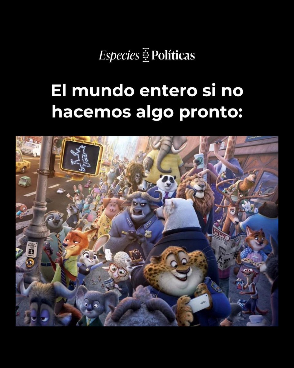 Para allá vamos.
#therians #memes #fypviralシ