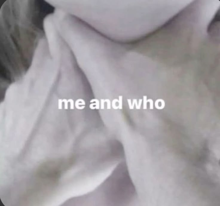 mia 🚬 tweet media