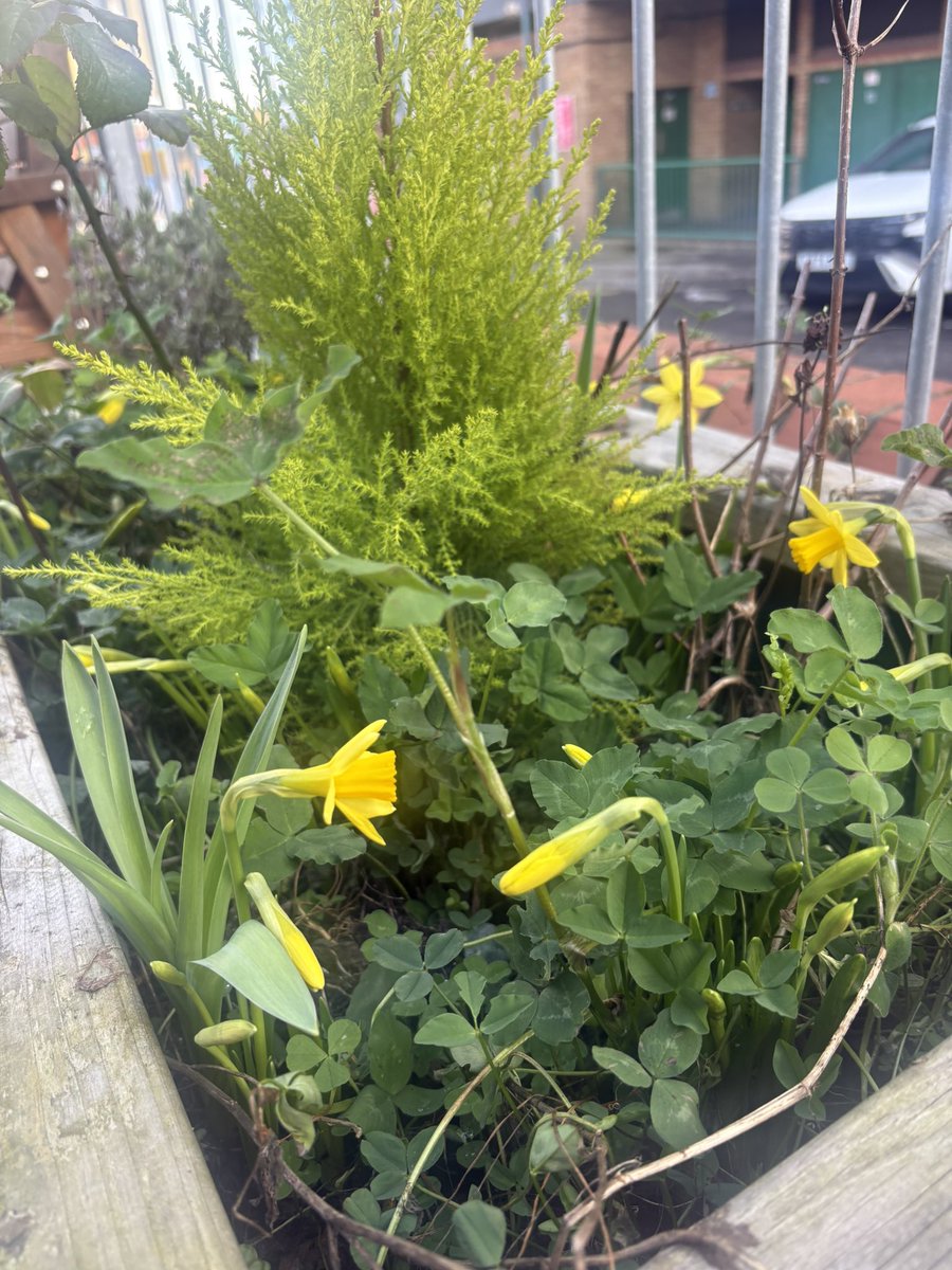 Second Chance Headway tweet media