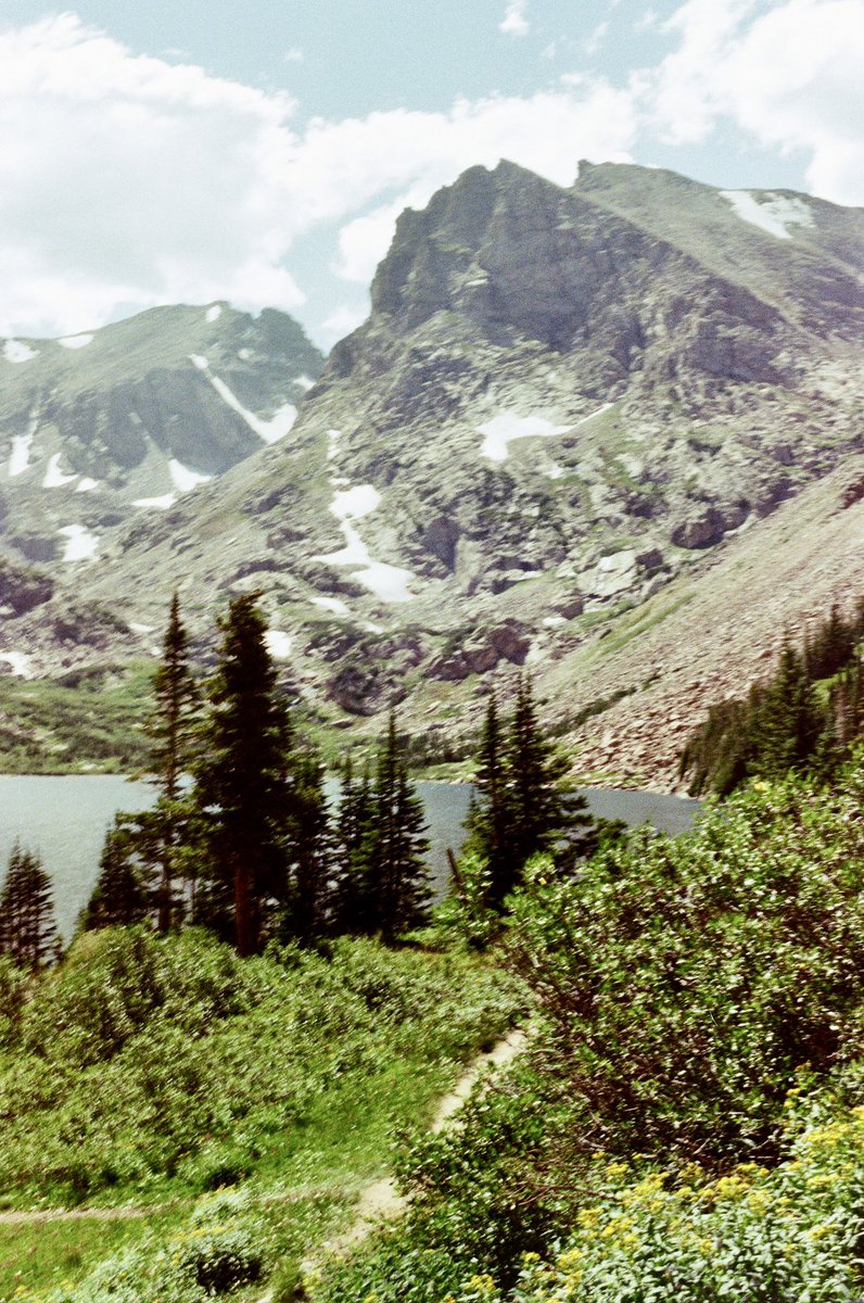 Stevie Grey • Denver tweet media