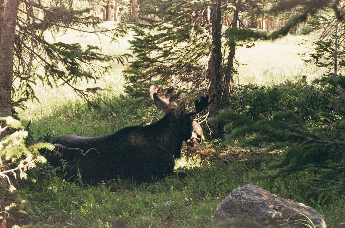 Stevie Grey • Denver tweet media