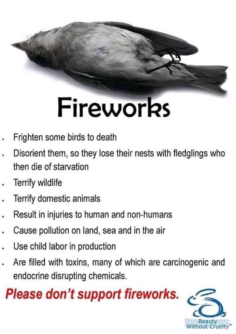 mar8anne's tweet photo. @meinmokhtar #BanFirecrackers https://t.co/IGVUf1ePiW