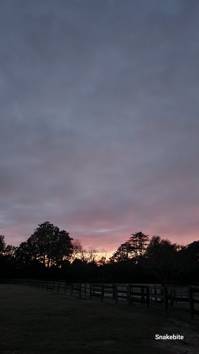 NHoffman87616's tweet image. NC 1/24 Cold cold cold. 
#sunblocking 
#stratosphericareosolinjection #solarradiationmanagement 
#5G #6G #HAARP #NEXRAD 
#weatherwarfare