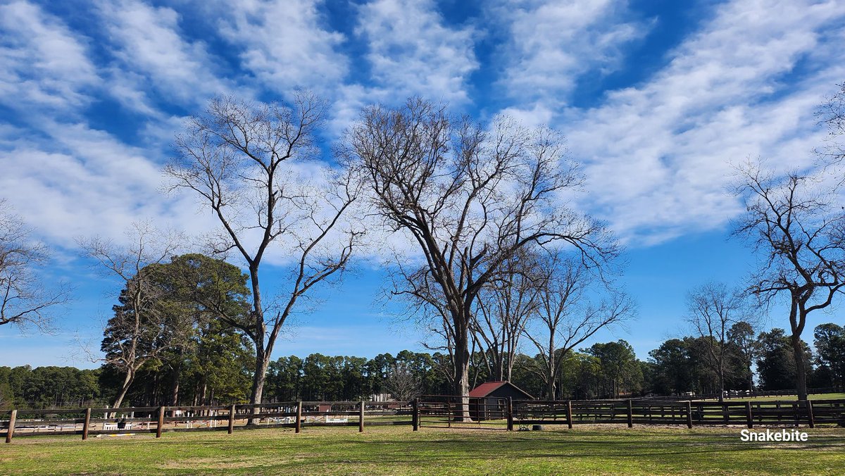 NHoffman87616's tweet image. NC 1/24 Cold cold cold. 
#sunblocking 
#stratosphericareosolinjection #solarradiationmanagement 
#5G #6G #HAARP #NEXRAD 
#weatherwarfare