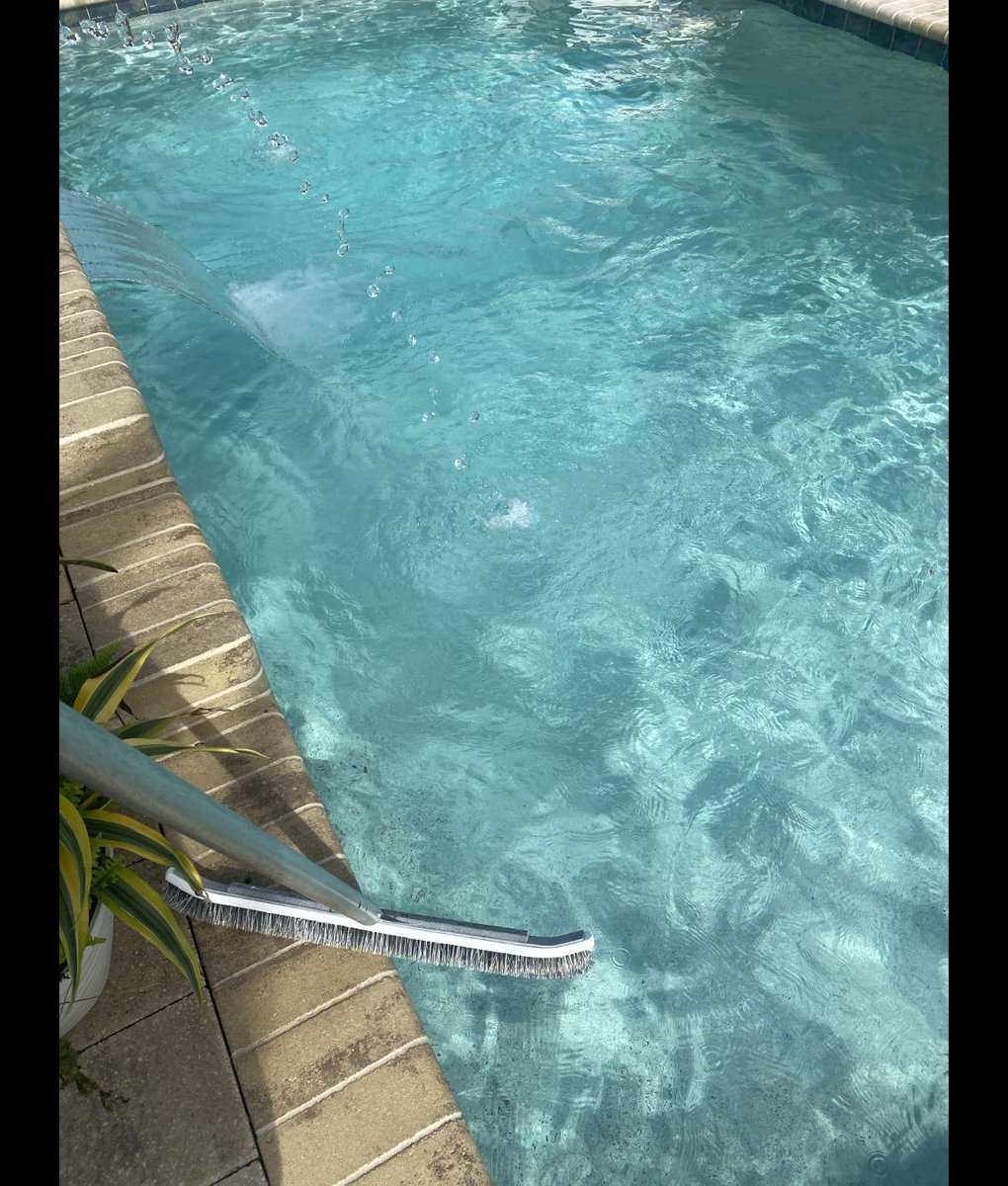 FLDetailPools's tweet image. 💦 Pool tip: Brush walls weekly for easier Port Charlotte pool cleaning &amp;amp; North Port pool care 🌊✨ Keep your pool swim-ready FloridaDetail.com 💦 instagram.com/p/DVJafmojxyj/ #FloridaDetail #PoolCareTips #PortCharlottePoolService